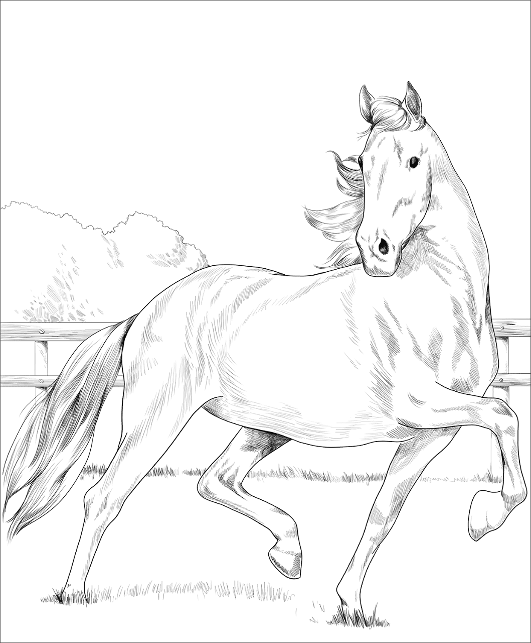 Desenho de Belos Cavalos Livro de Colorir para colorir e imprimir: número 8