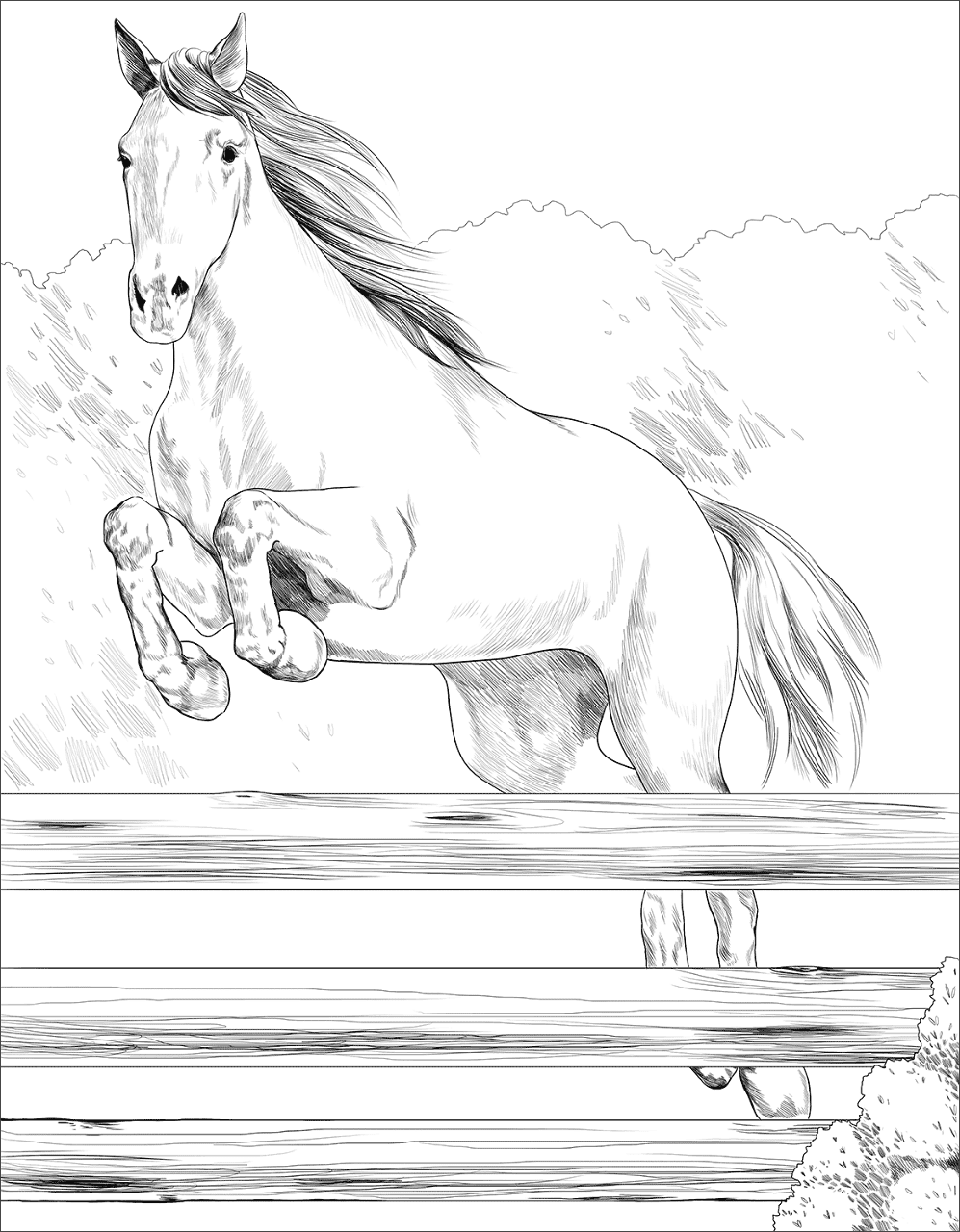 Desenho de Belos Cavalos Livro de Colorir para colorir e imprimir: número 10
