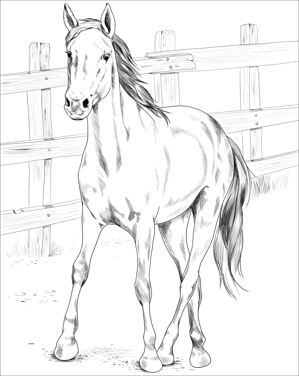 Desenho de Belos Cavalos Livro de Colorir para colorir e imprimir: número 11