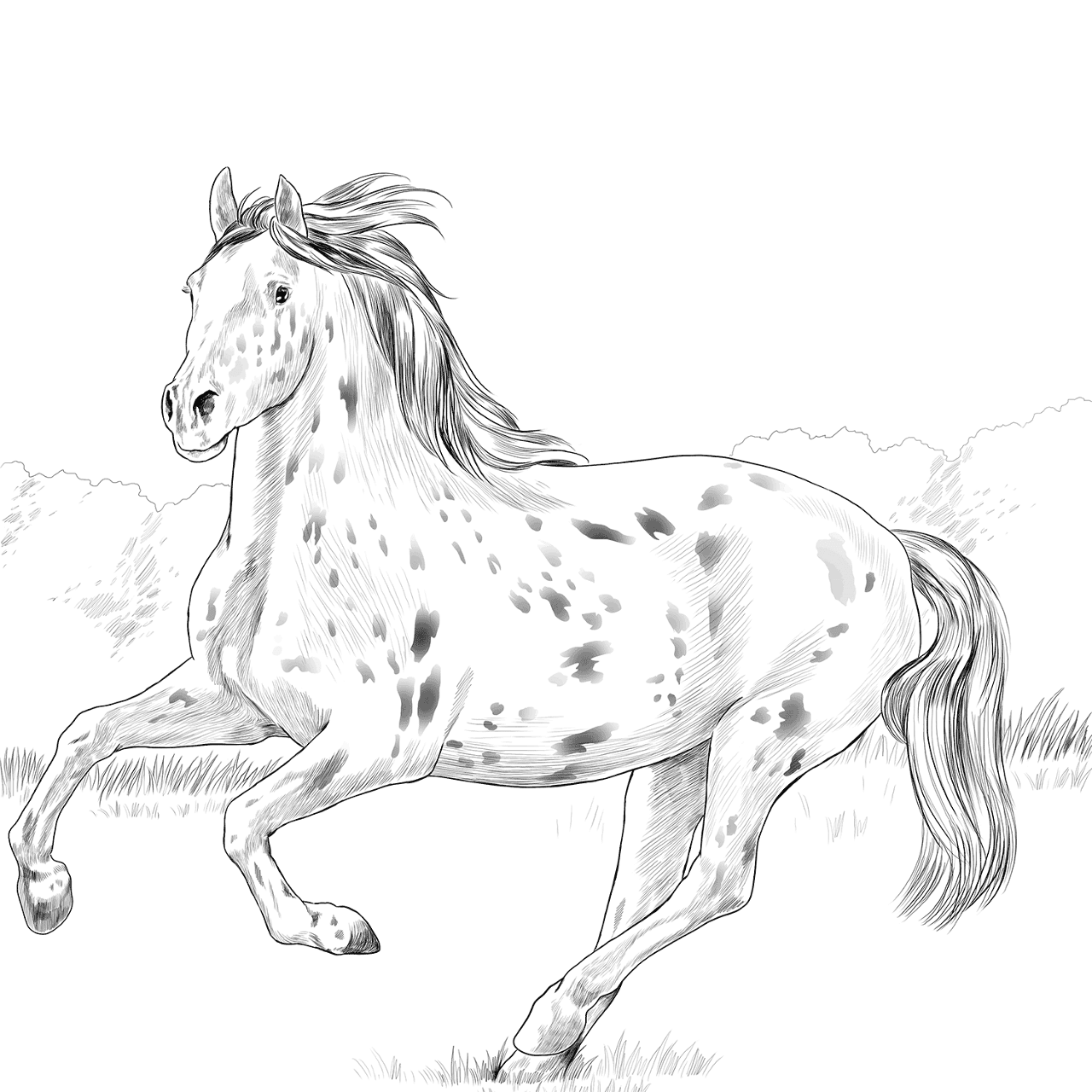 Desenho de Belos Cavalos Livro de Colorir para colorir e imprimir: número 12