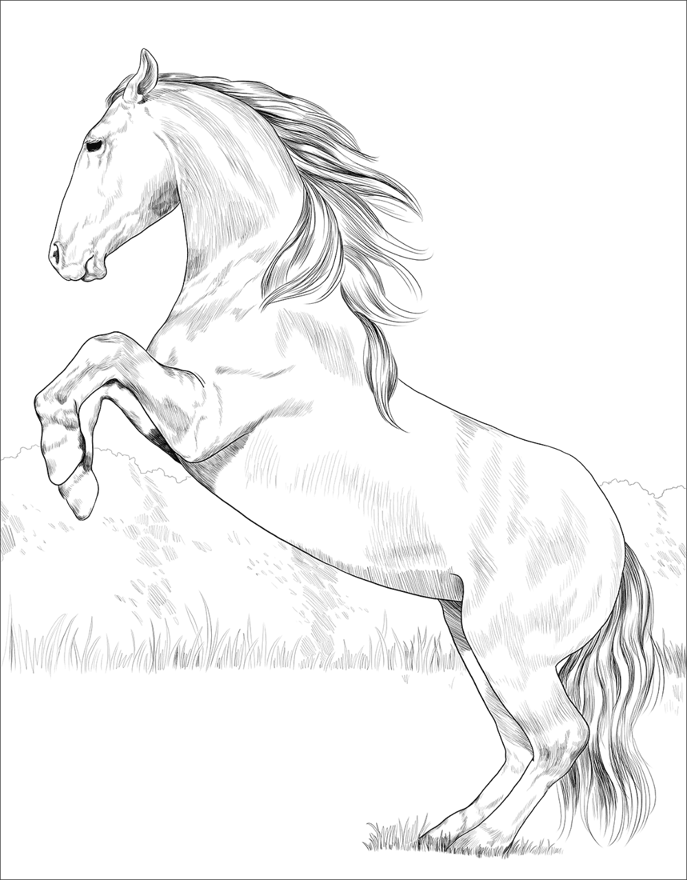 Desenho de Belos Cavalos Livro de Colorir para colorir e imprimir: número 13
