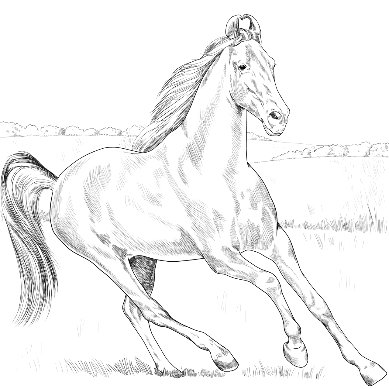 Desenho de Belos Cavalos Livro de Colorir para colorir e imprimir: número 14