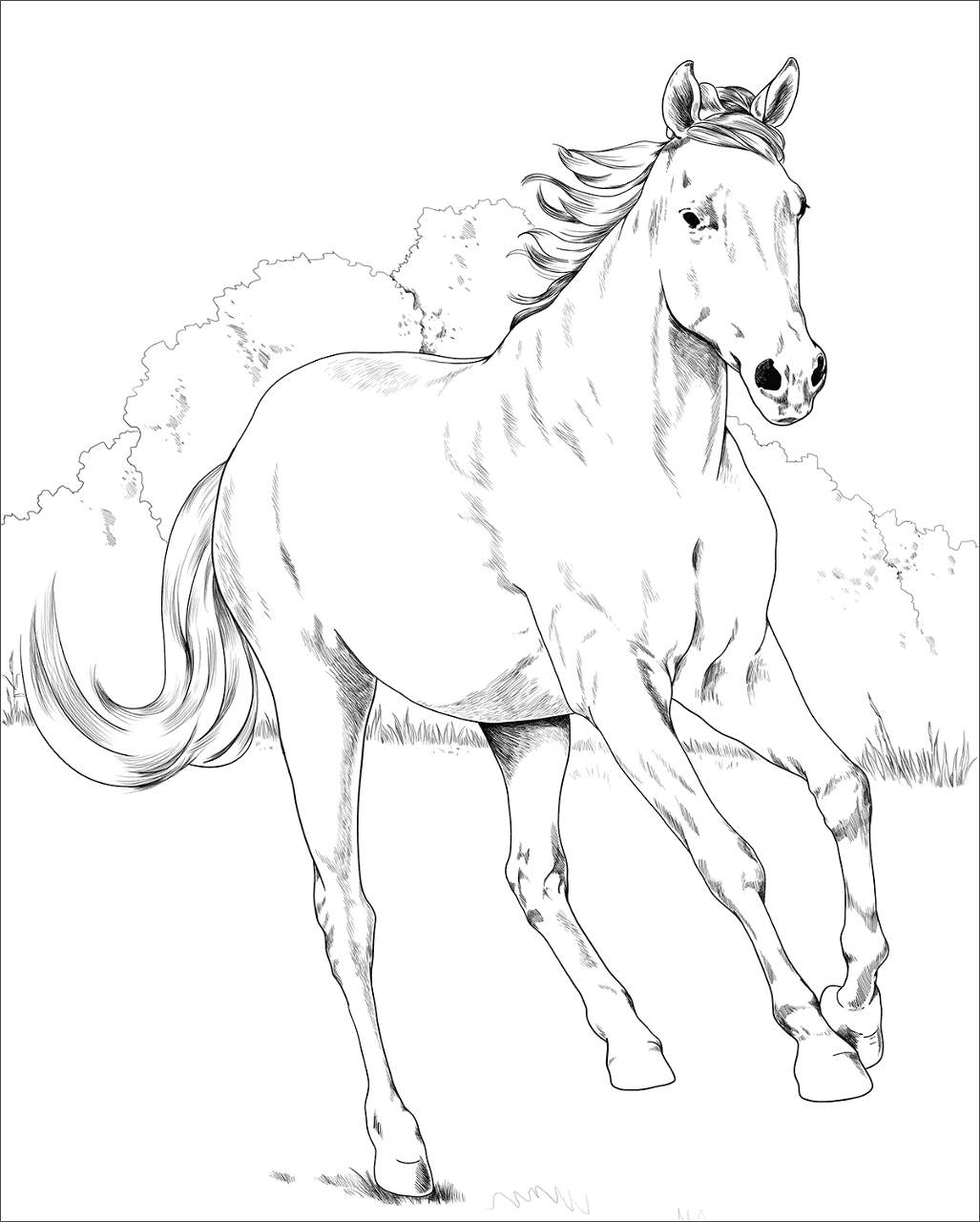 Desenho de Belos Cavalos Livro de Colorir para colorir e imprimir: número 16