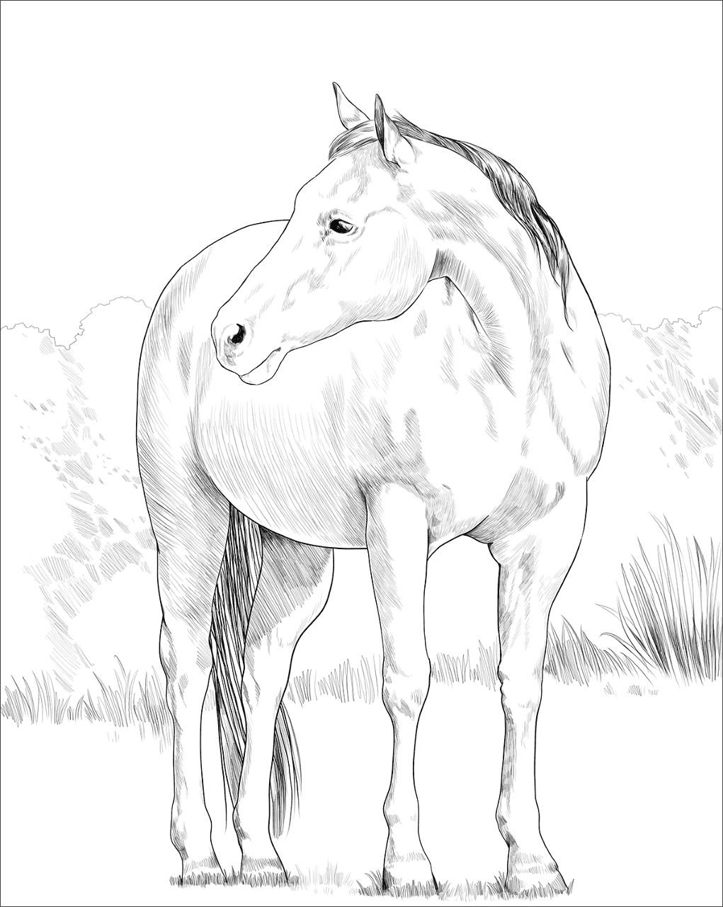 Desenho de Belos Cavalos Livro de Colorir para colorir e imprimir: número 17