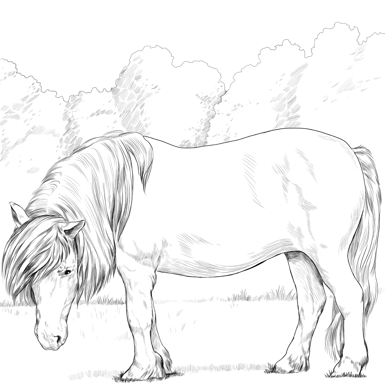 Desenho de Belos Cavalos Livro de Colorir para colorir e imprimir: número 18