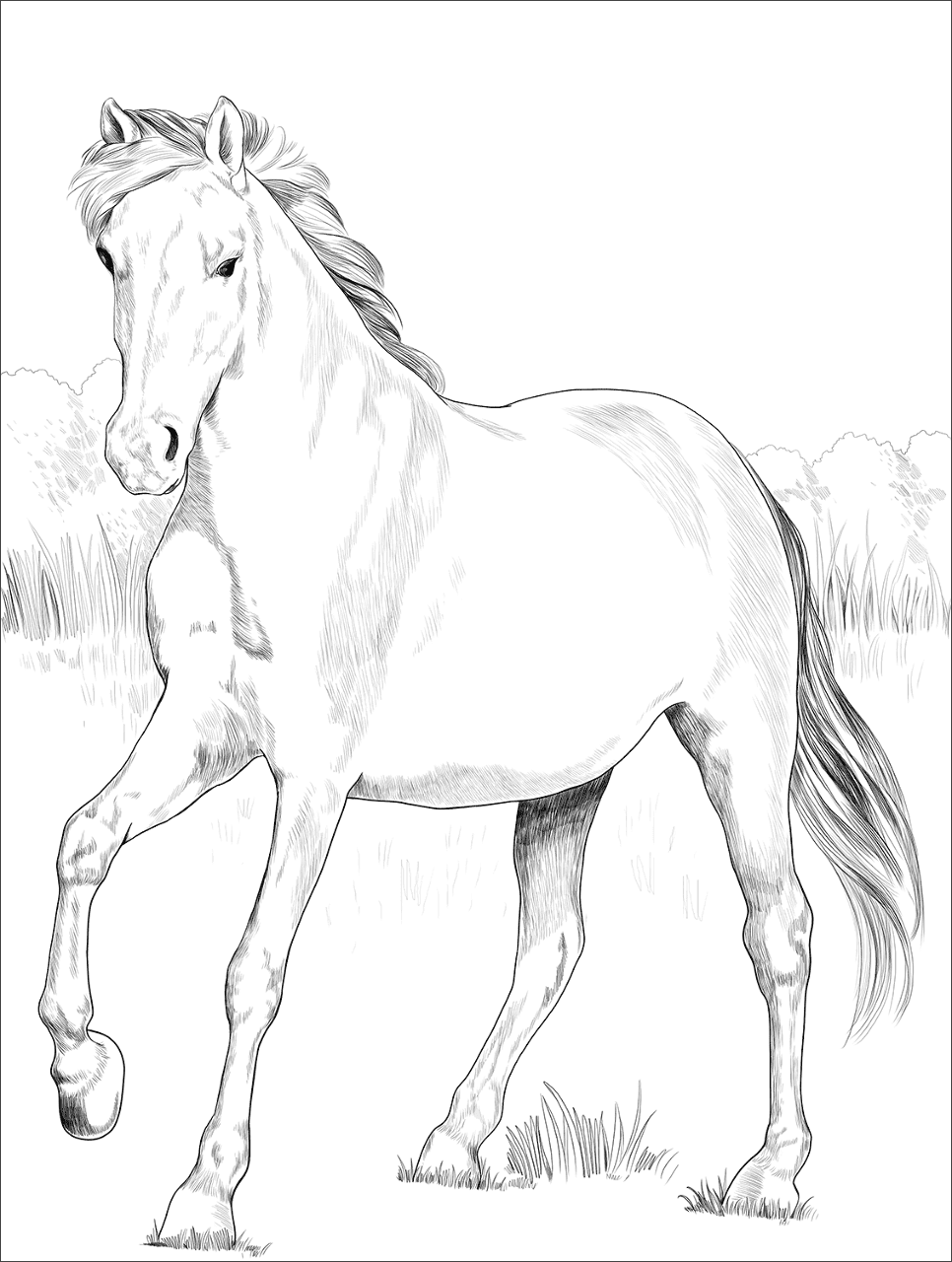 Desenho de Belos Cavalos Livro de Colorir para colorir e imprimir: número 19