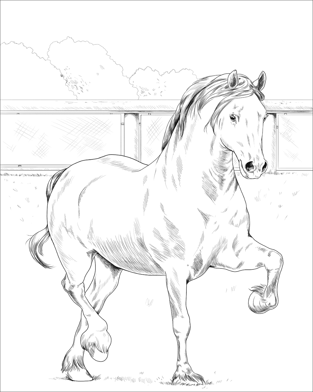 Desenho de Belos Cavalos Livro de Colorir para colorir e imprimir: número 21