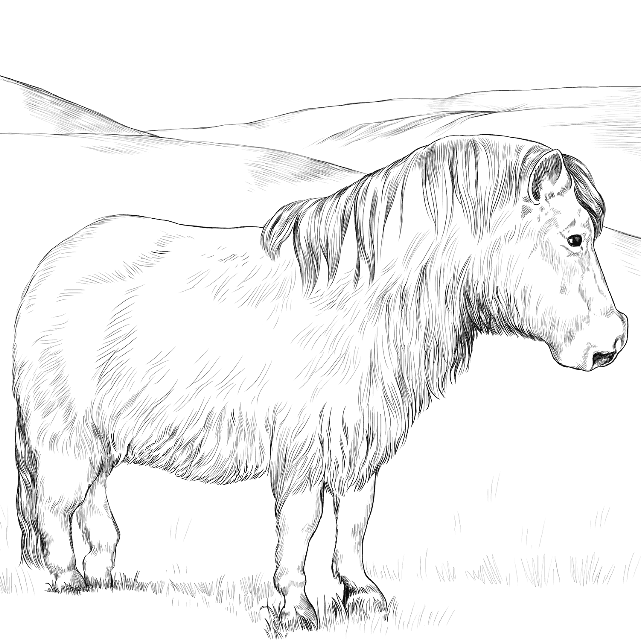 Desenho de Belos Cavalos Livro de Colorir para colorir e imprimir: número 22