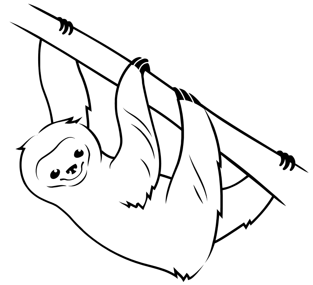 Desenho de Bicho Preguiça para colorir e imprimir: número 21