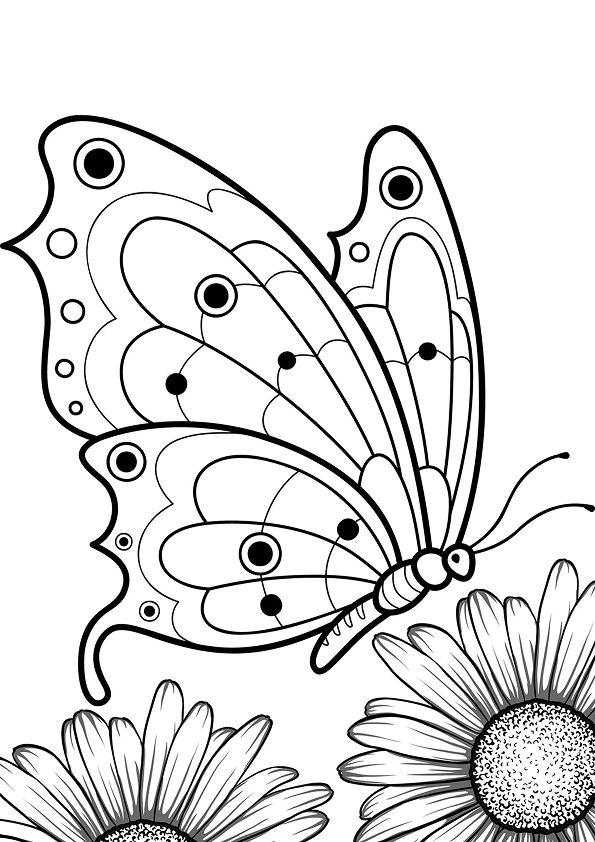 Desenho de Borboletas para colorir e imprimir: número 2