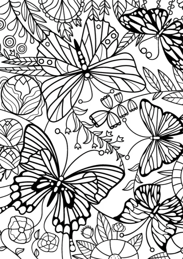 Desenho de Borboletas para colorir e imprimir: número 5