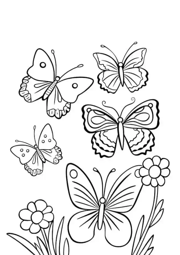 Desenho de Borboletas para colorir e imprimir: número 6