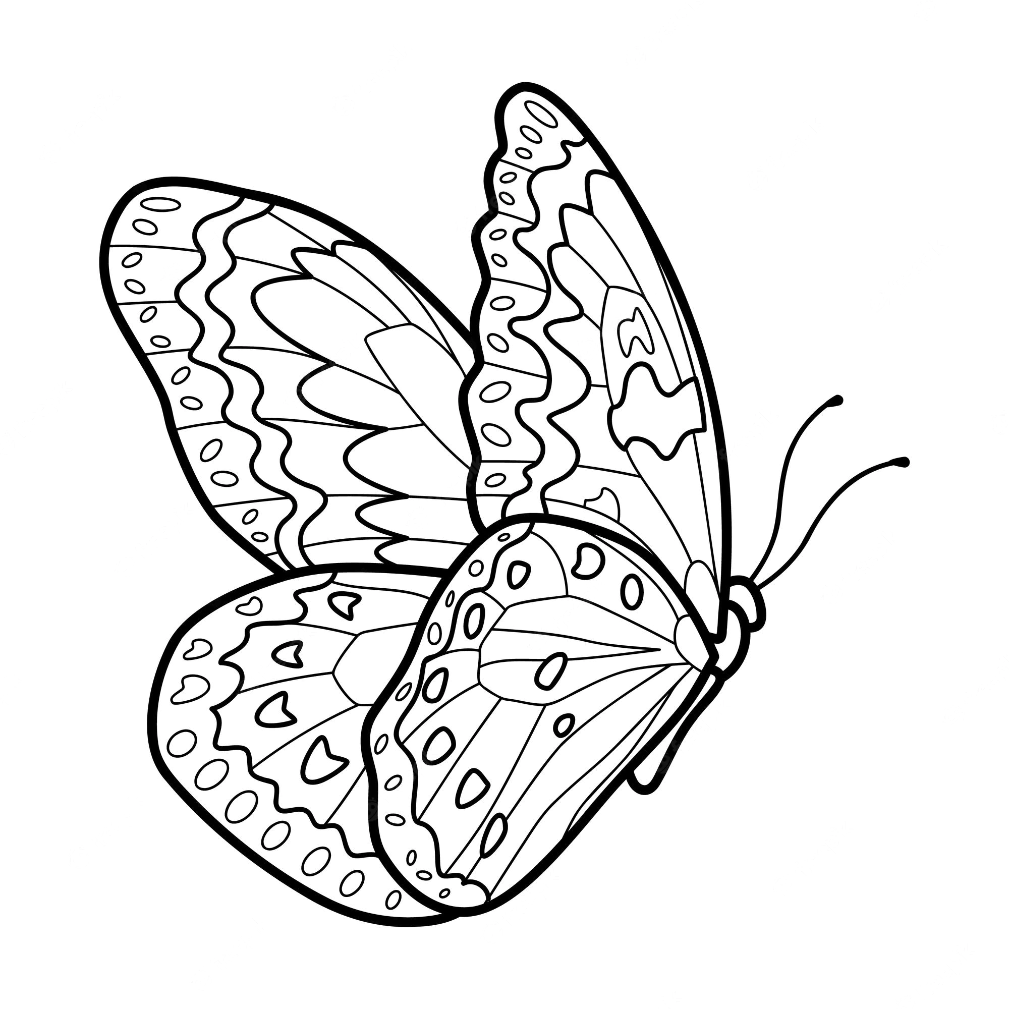 Desenho de Borboletas para colorir e imprimir: número 16