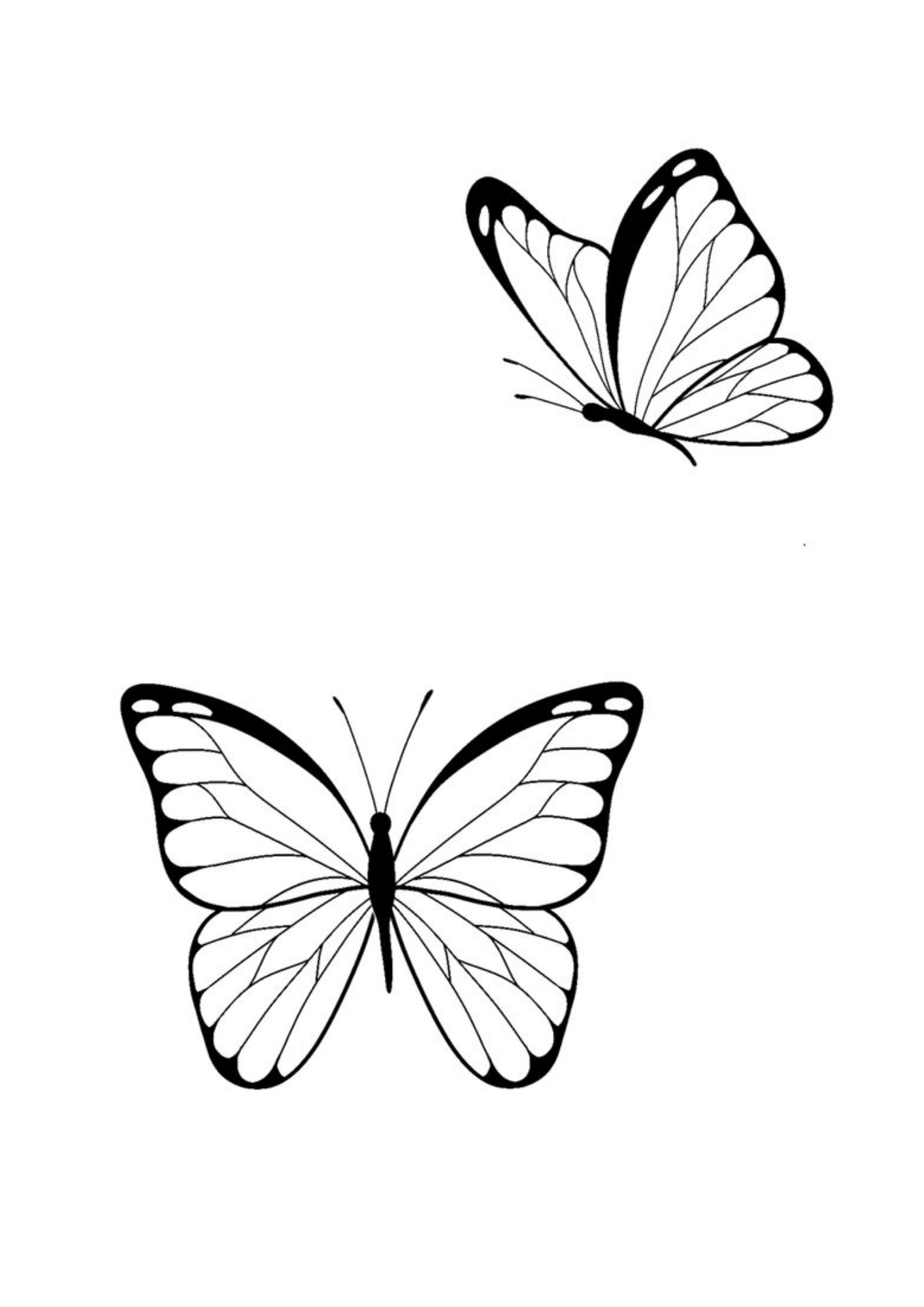 Desenho de Borboletas para colorir e imprimir: número 18