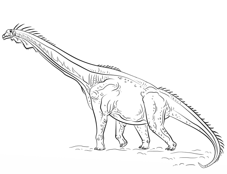 Desenho de Braquissauro para colorir e imprimir: número 1
