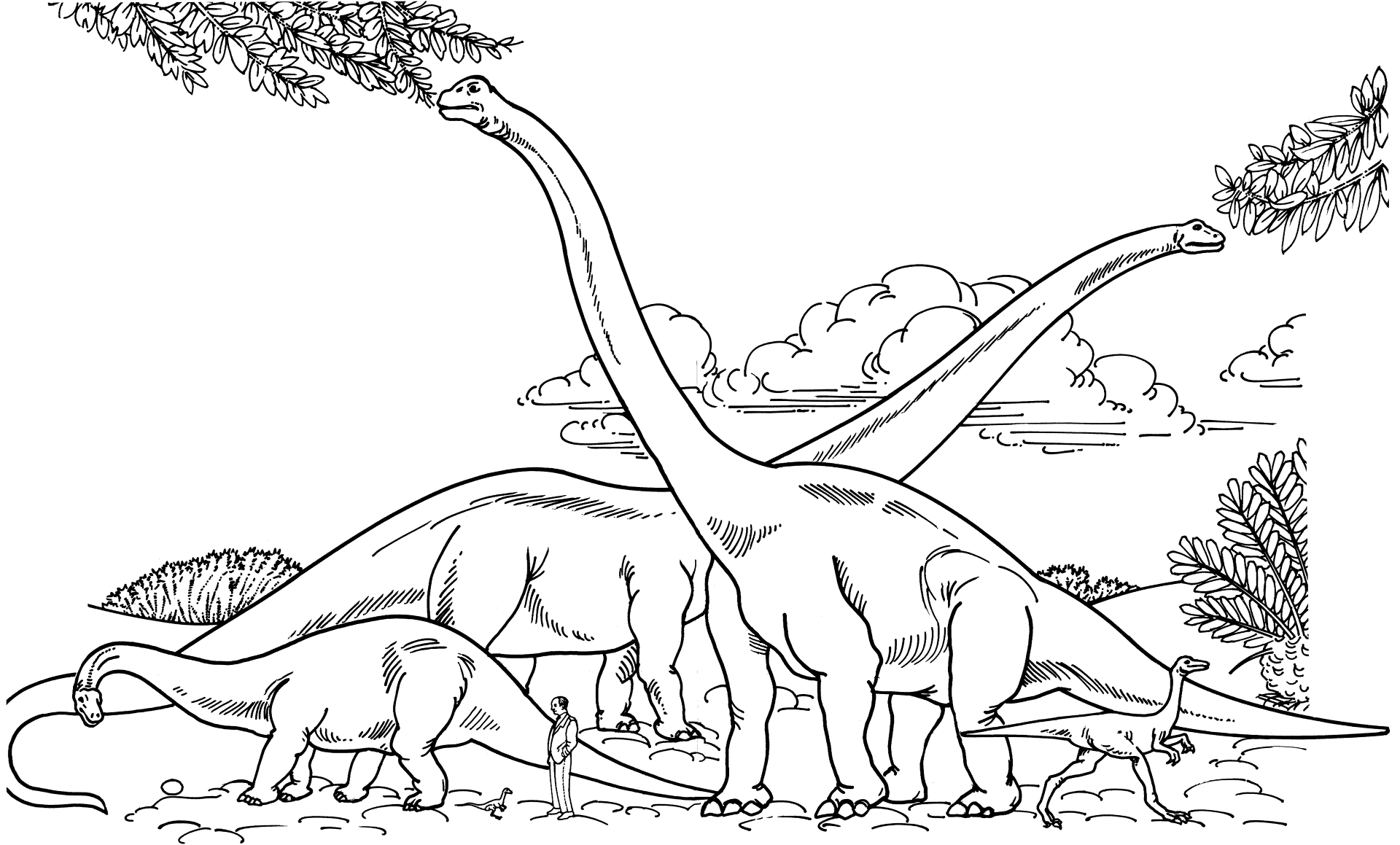 Desenho de Braquissauro para colorir e imprimir: número 4