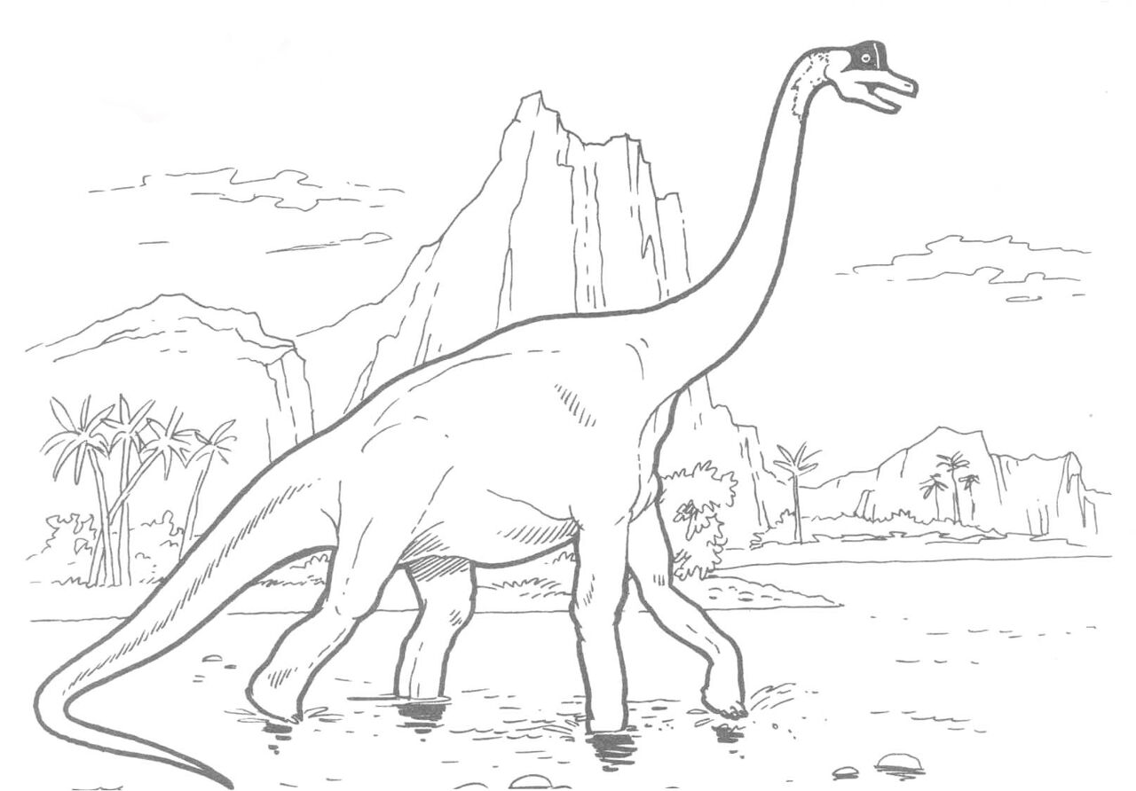 Desenho de Braquissauro para colorir e imprimir: número 5