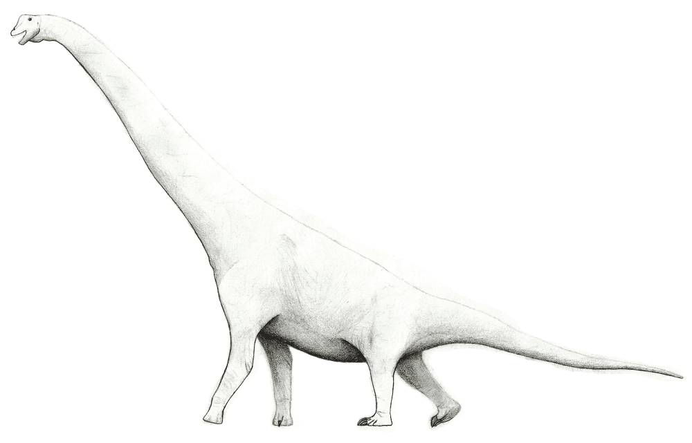 Desenho de Braquissauro para colorir e imprimir: número 10