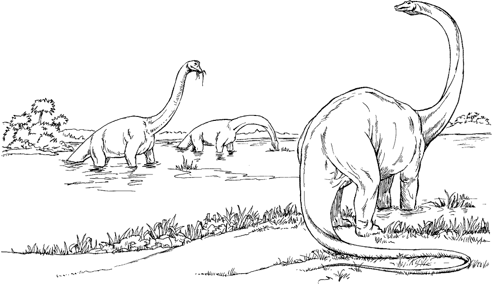 Desenho de Braquissauro para colorir e imprimir: número 11