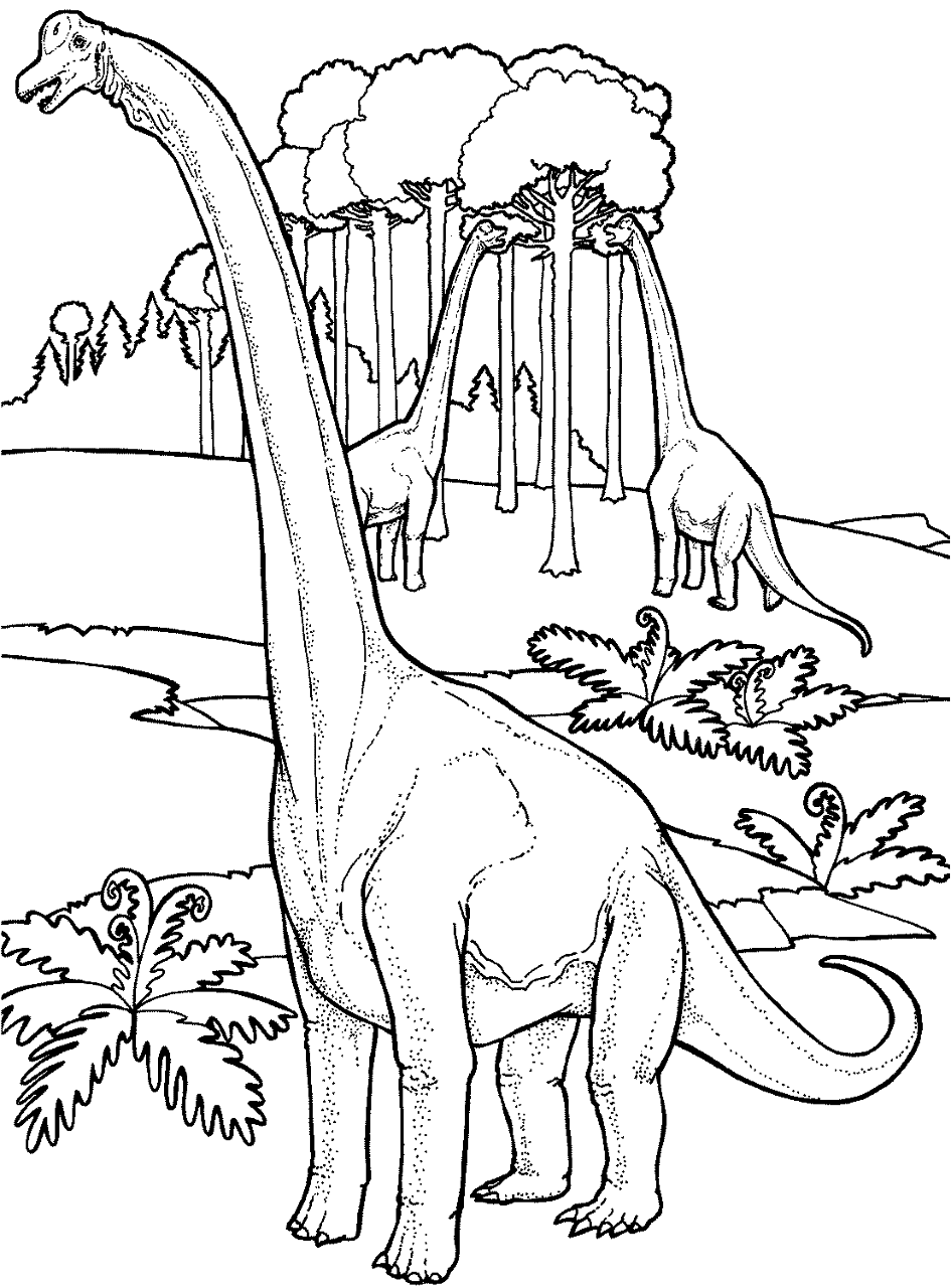 Desenho de Braquissauro para colorir e imprimir: número 12