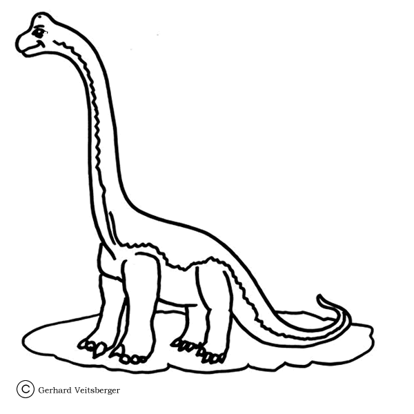 Desenho de Braquissauro para colorir e imprimir: número 13