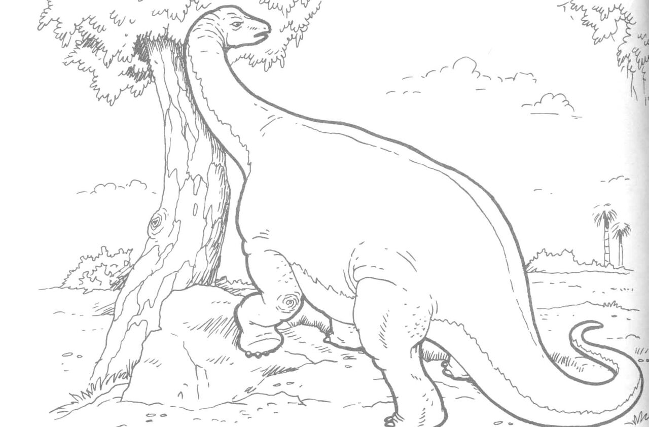 Desenho de Braquissauro para colorir e imprimir: número 16