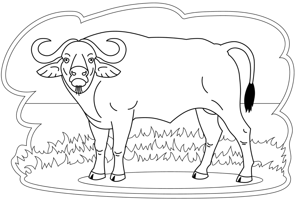 Desenho de Búfalo para colorir e imprimir: número 2