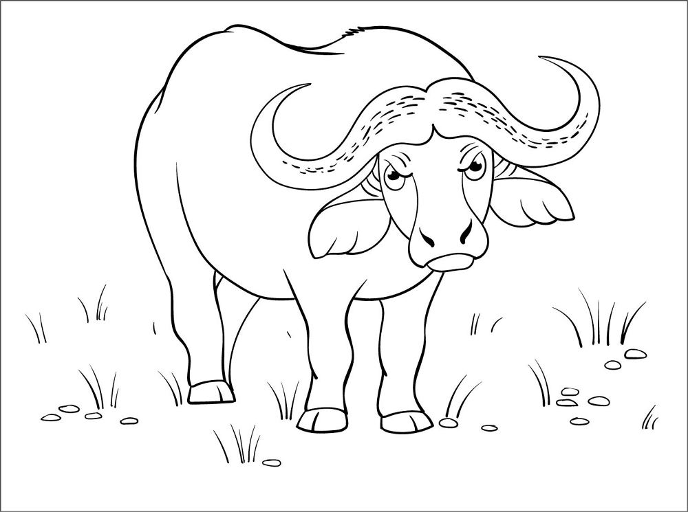 Desenho de Búfalo para colorir e imprimir: número 4