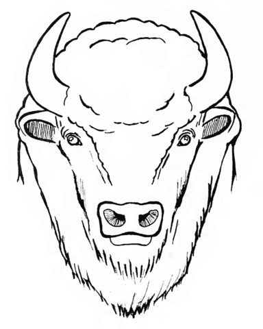 Desenho de Búfalo para colorir e imprimir: número 15