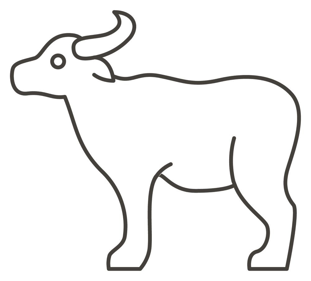 Desenho de Búfalo para colorir e imprimir: número 17