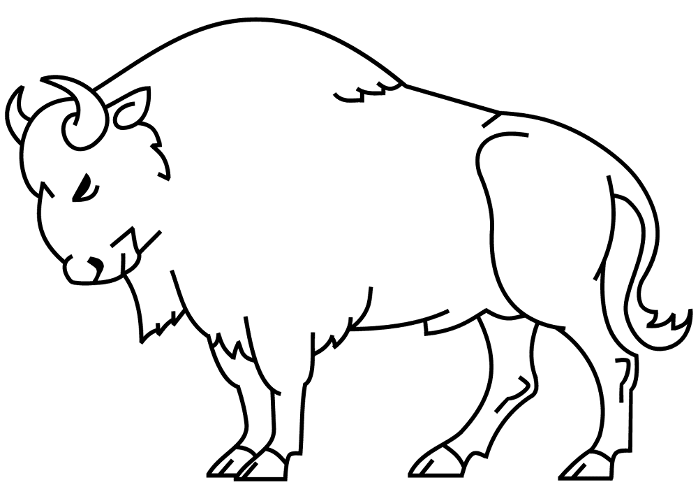 Desenho de Búfalo para colorir e imprimir: número 23