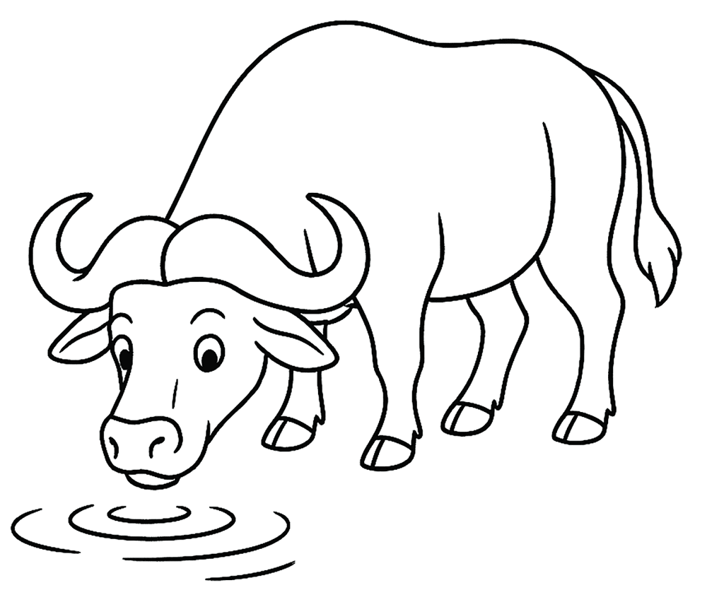 Desenho de Búfalo para colorir e imprimir: número 25