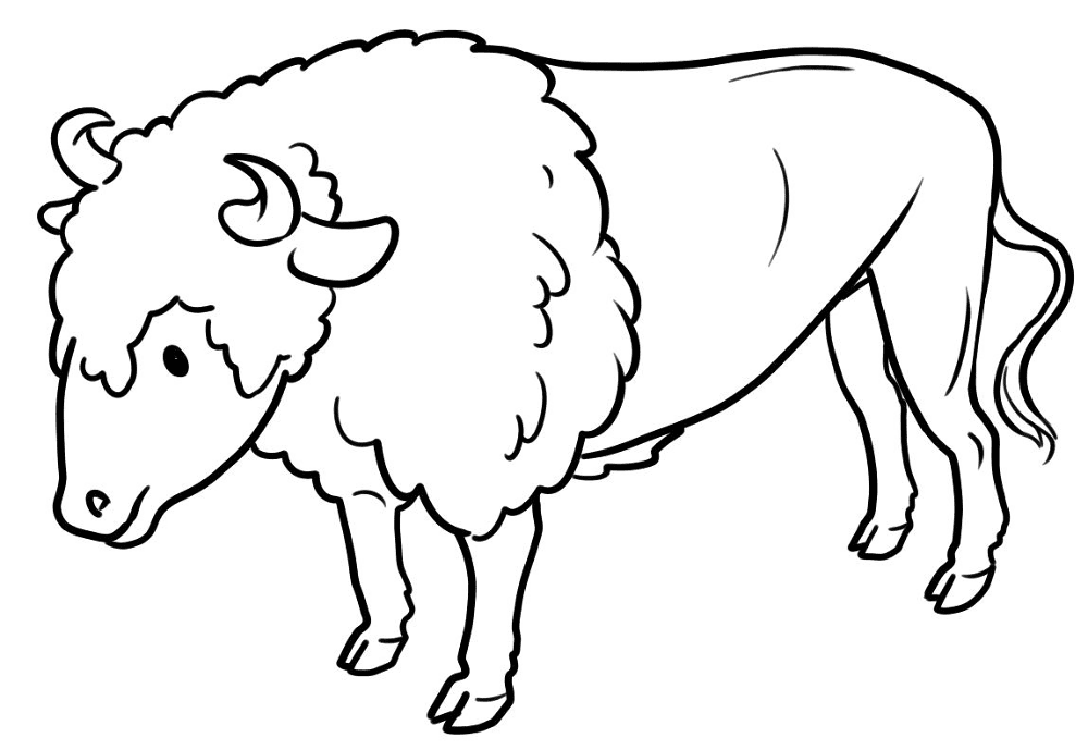 Desenho de Búfalo para colorir e imprimir: número 27