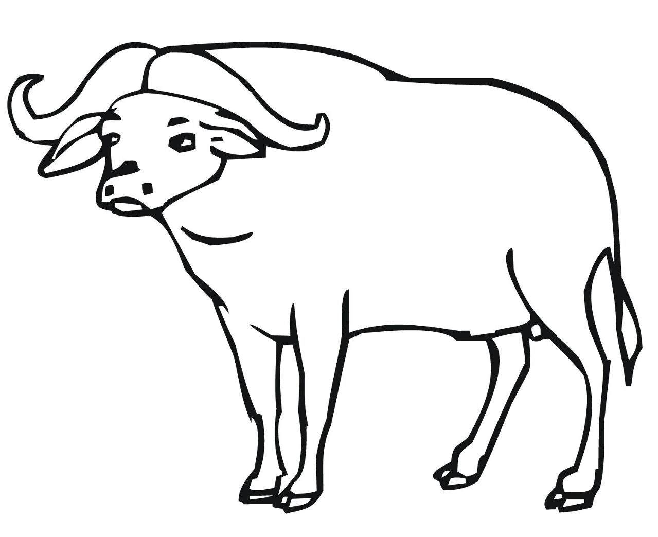 Desenho de Búfalo para colorir e imprimir: número 28