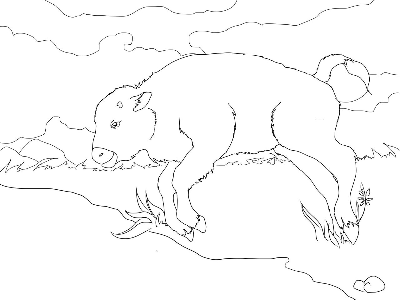 Desenho de Búfalo para colorir e imprimir: número 34