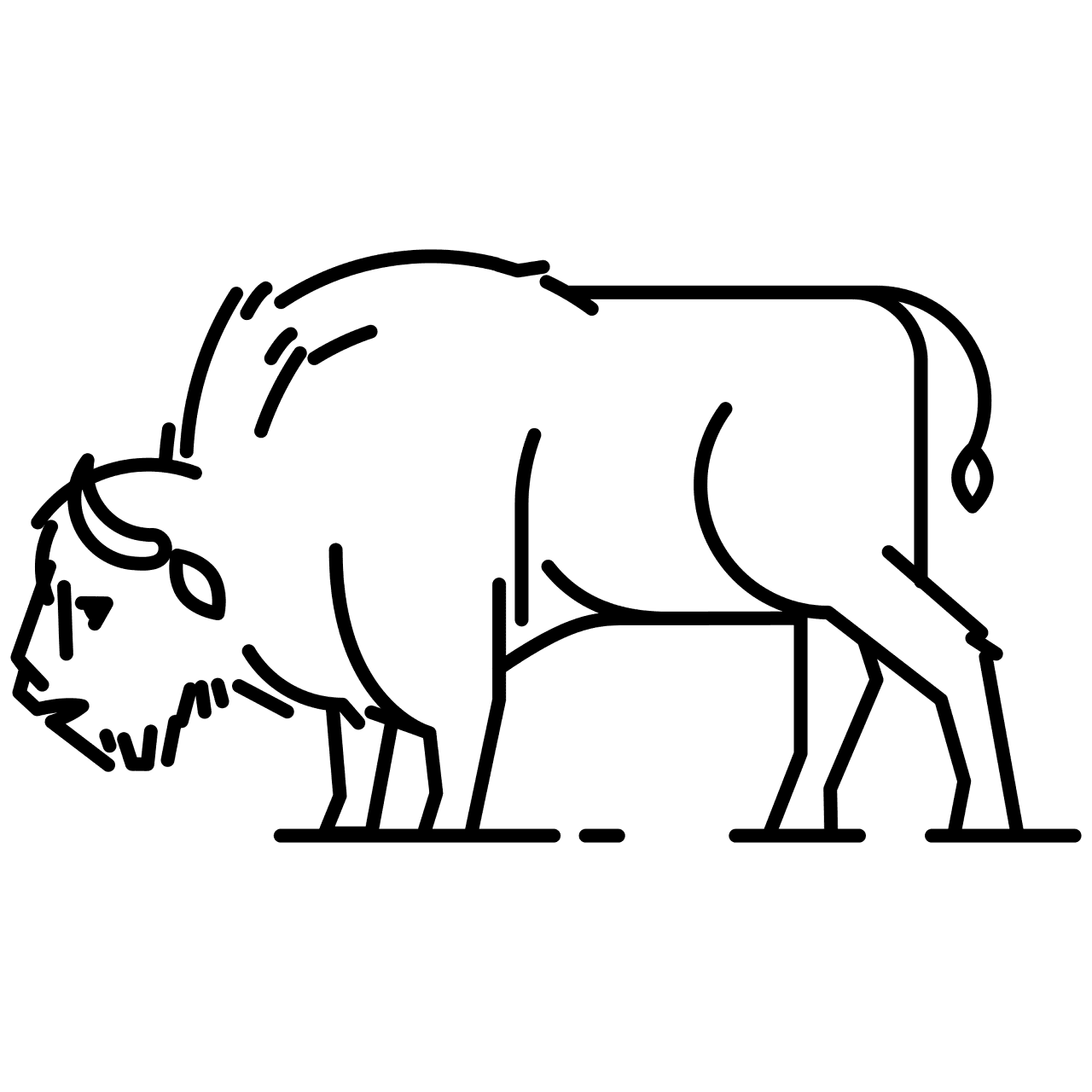 Desenho de Búfalo para colorir e imprimir: número 36