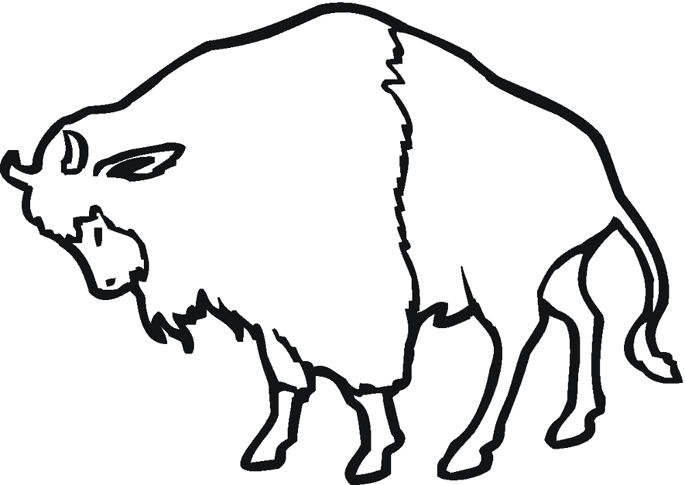 Desenho de Búfalo para colorir e imprimir: número 41