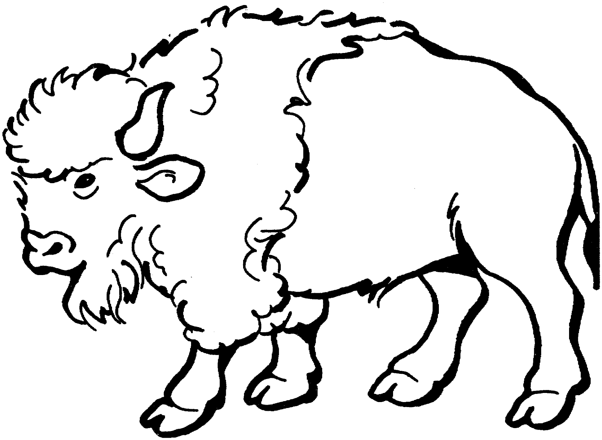 Desenho de Búfalo para colorir e imprimir: número 42