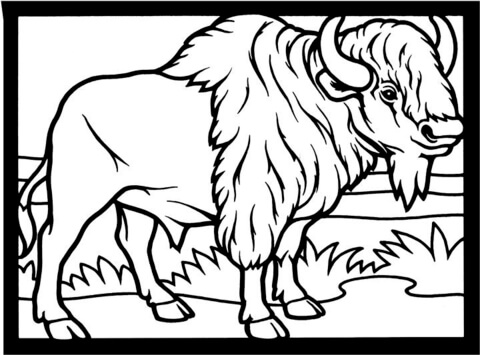 Desenho de Búfalo para colorir e imprimir: número 46