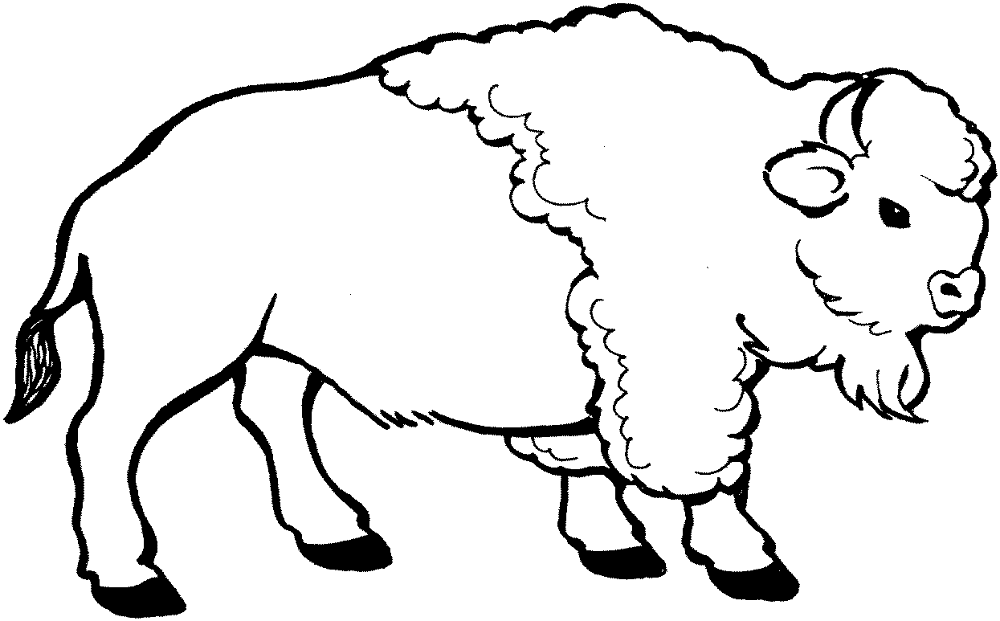 Desenho de Búfalo para colorir e imprimir: número 47