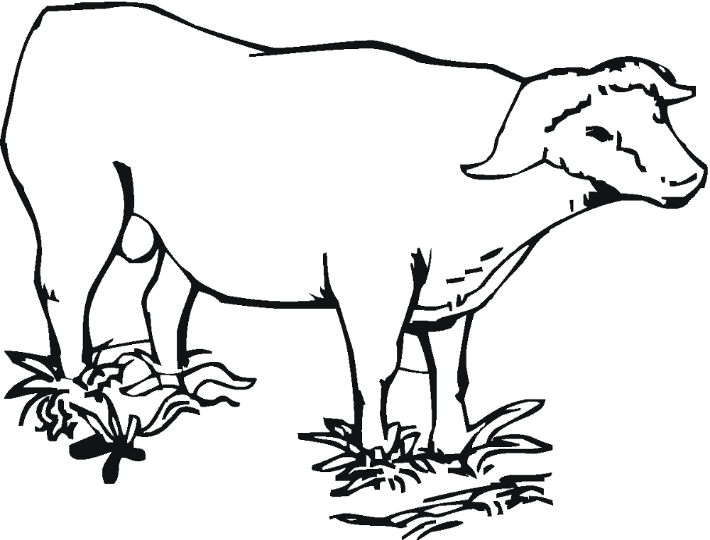 Desenho de Búfalo para colorir e imprimir: número 48
