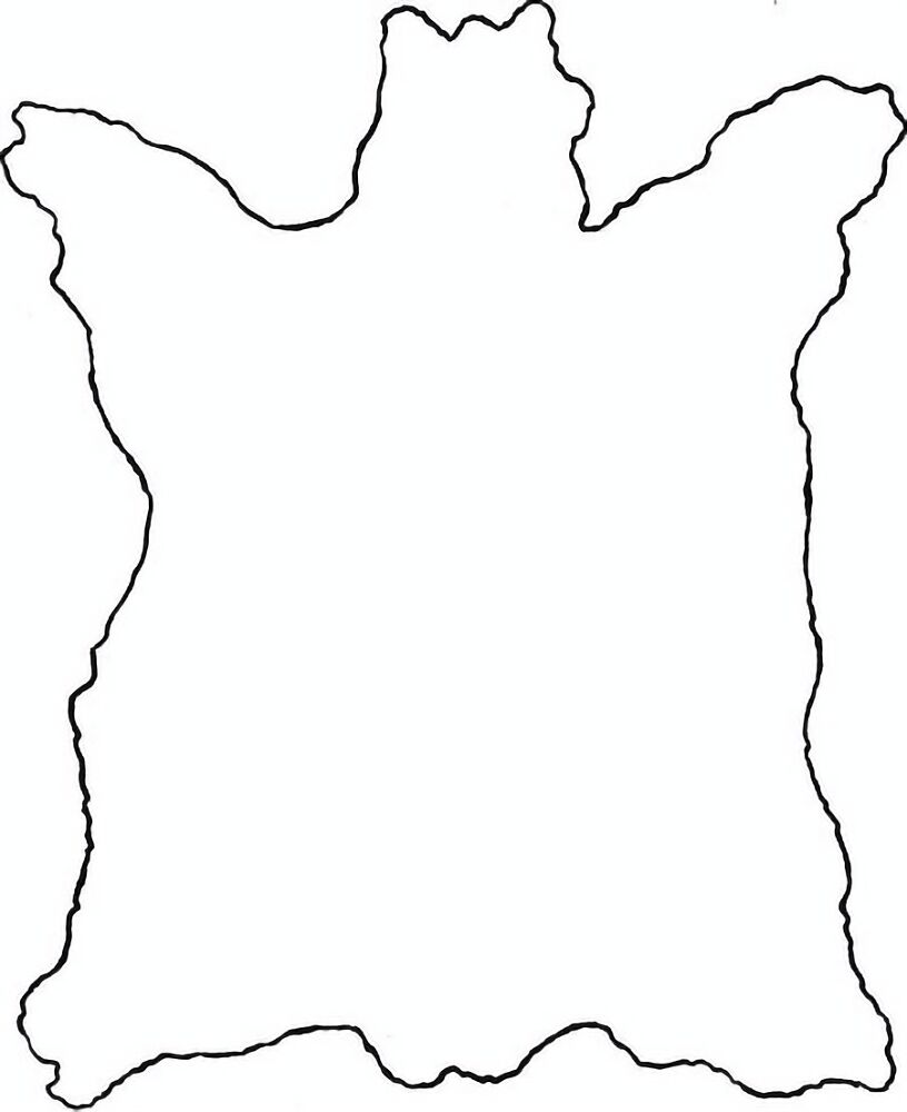Desenho de Búfalo para colorir