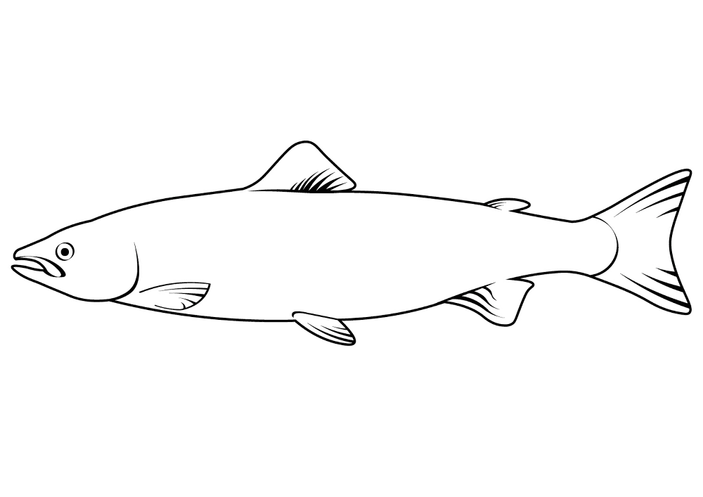 Desenho de Búfalo para colorir