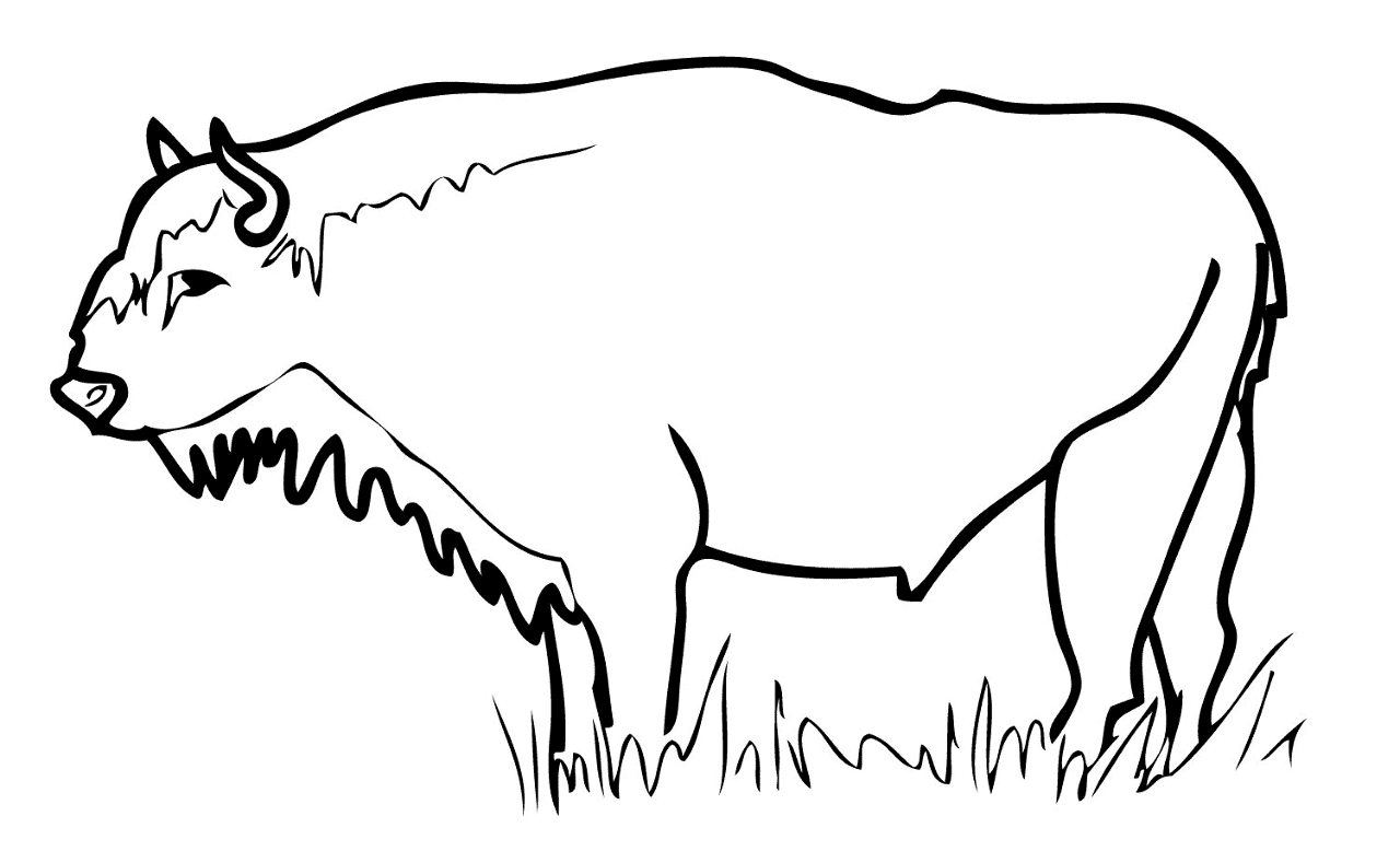 Desenho de Búfalo para colorir