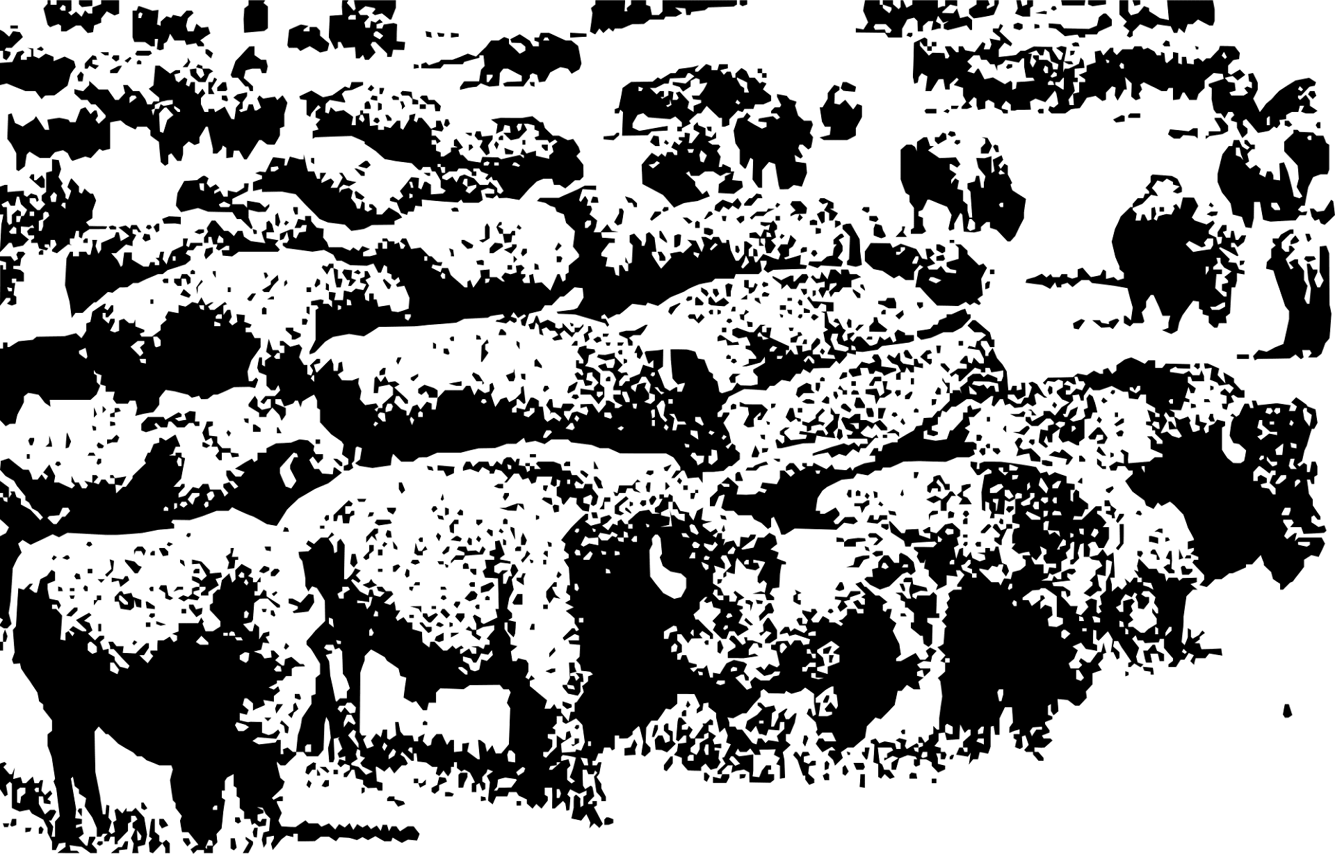 Desenho de Búfalo para colorir