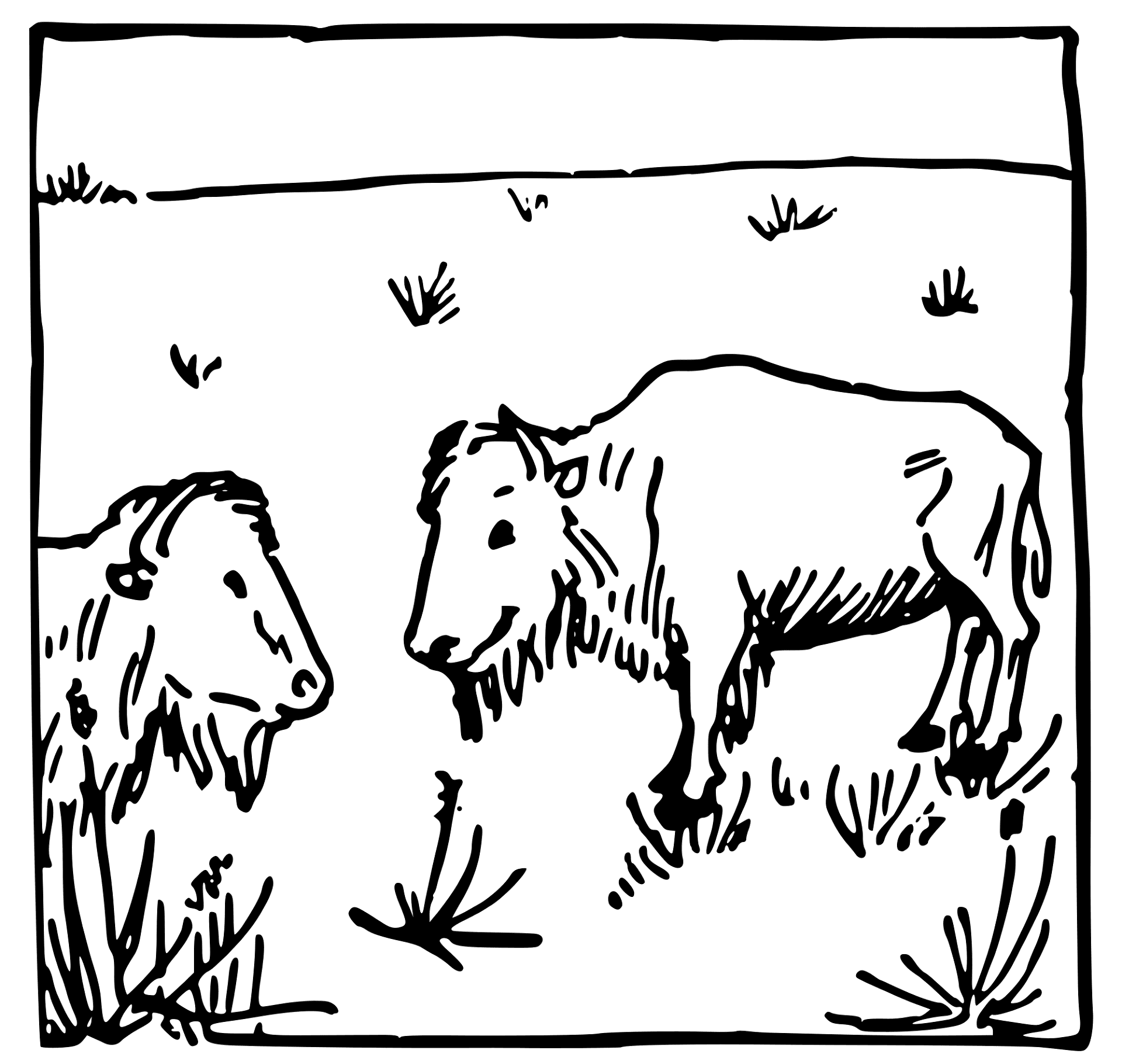 Desenho de Búfalo para colorir