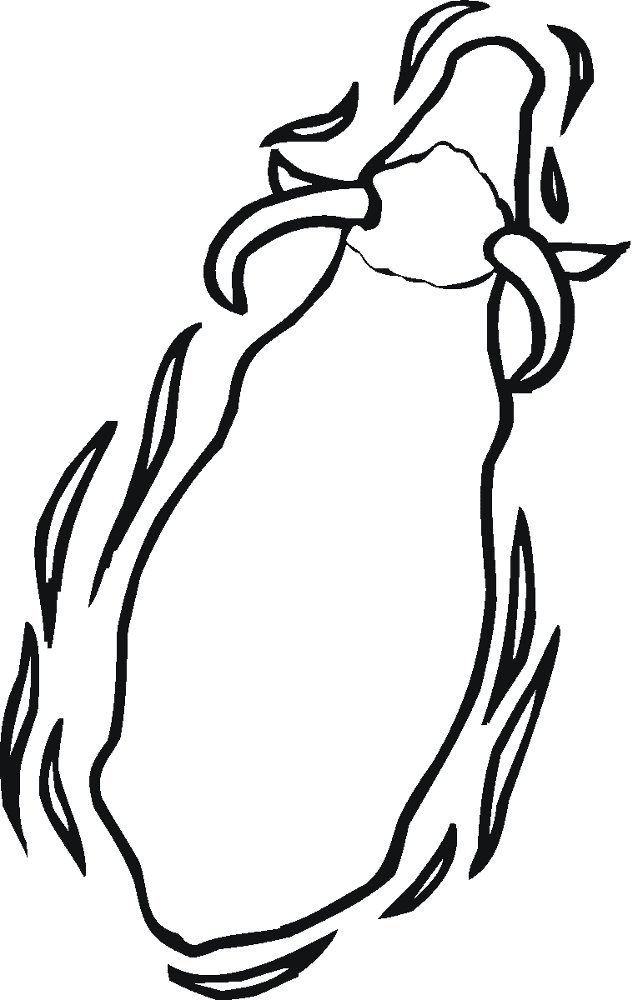 Desenho de Búfalo para colorir