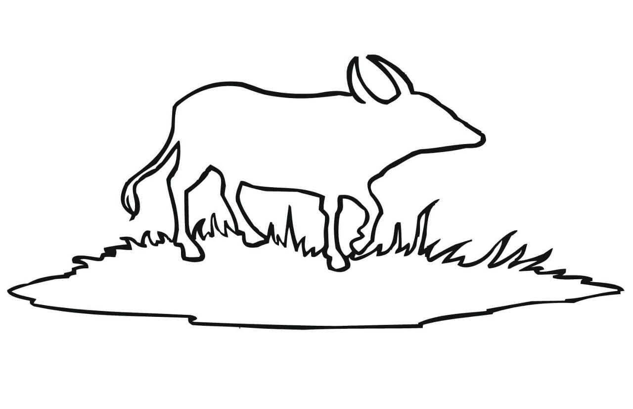 Desenho de Búfalo para colorir