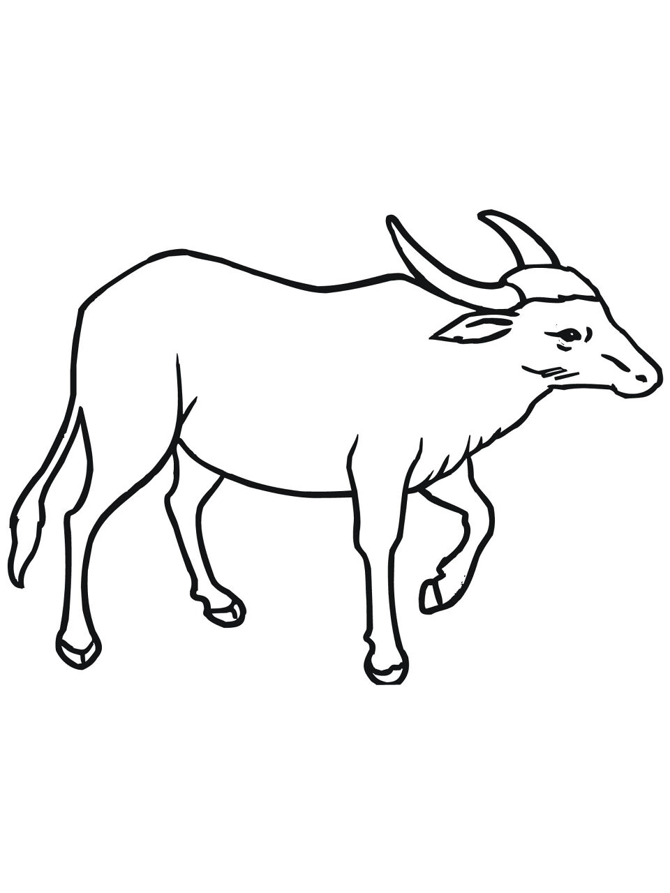 Desenho de Búfalo para colorir