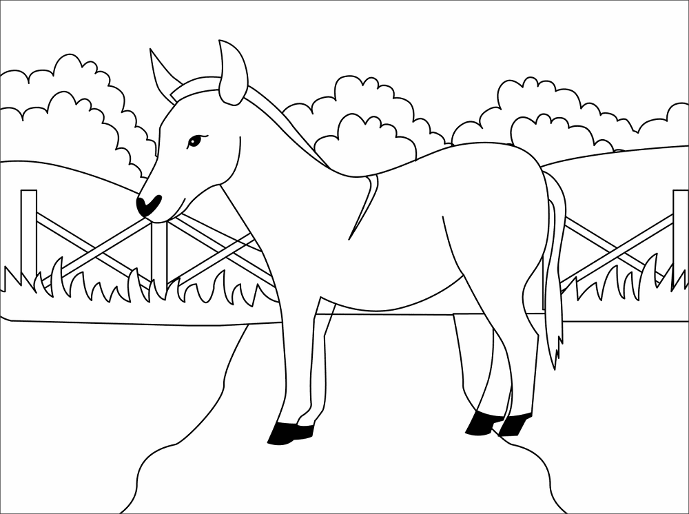Desenho de Burros para colorir e imprimir: número 19